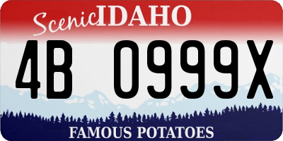 ID license plate 4B0999X