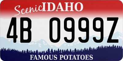 ID license plate 4B0999Z