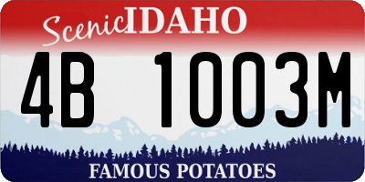 ID license plate 4B1003M