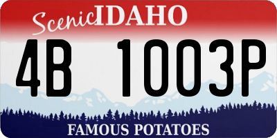 ID license plate 4B1003P