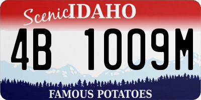 ID license plate 4B1009M