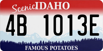 ID license plate 4B1013E