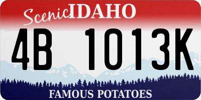 ID license plate 4B1013K