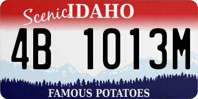 ID license plate 4B1013M