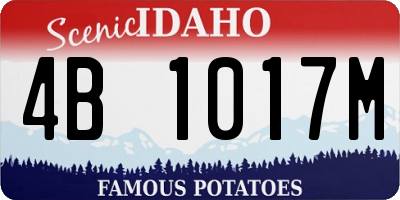 ID license plate 4B1017M