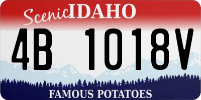 ID license plate 4B1018V