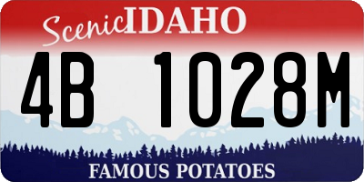 ID license plate 4B1028M
