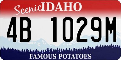ID license plate 4B1029M
