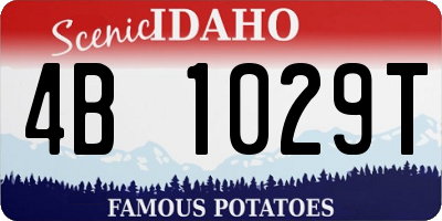 ID license plate 4B1029T