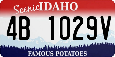 ID license plate 4B1029V