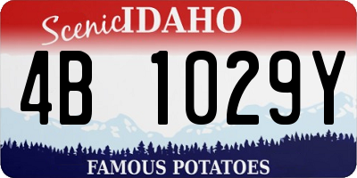 ID license plate 4B1029Y