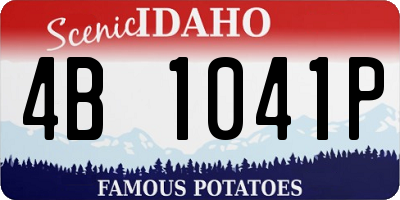 ID license plate 4B1041P