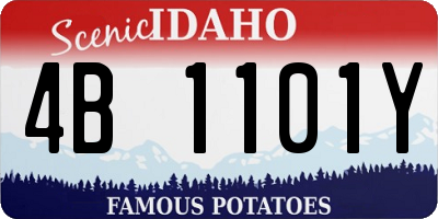 ID license plate 4B1101Y