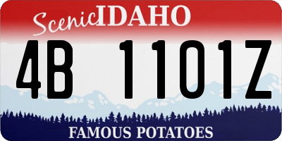 ID license plate 4B1101Z