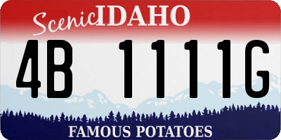 ID license plate 4B1111G