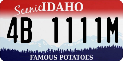 ID license plate 4B1111M