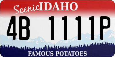 ID license plate 4B1111P