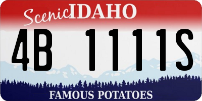 ID license plate 4B1111S