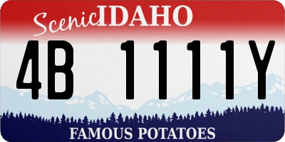 ID license plate 4B1111Y