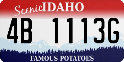 ID license plate 4B1113G