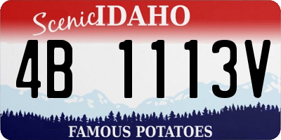 ID license plate 4B1113V