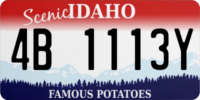 ID license plate 4B1113Y