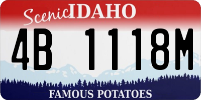 ID license plate 4B1118M