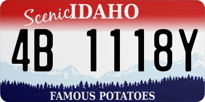 ID license plate 4B1118Y