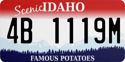 ID license plate 4B1119M