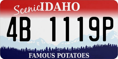 ID license plate 4B1119P