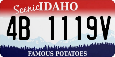 ID license plate 4B1119V