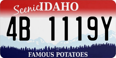 ID license plate 4B1119Y