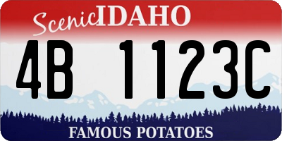 ID license plate 4B1123C