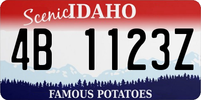 ID license plate 4B1123Z
