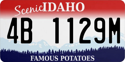 ID license plate 4B1129M