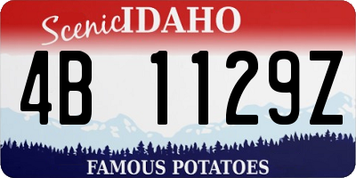 ID license plate 4B1129Z