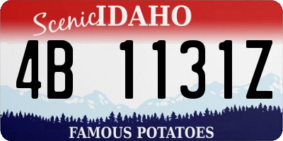ID license plate 4B1131Z