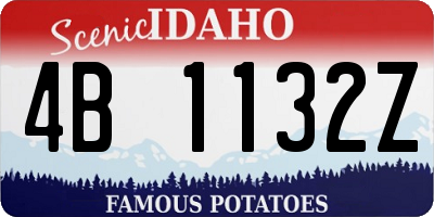 ID license plate 4B1132Z