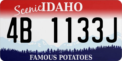 ID license plate 4B1133J
