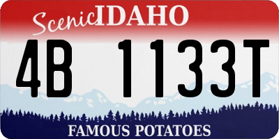 ID license plate 4B1133T
