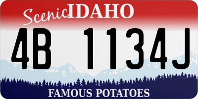 ID license plate 4B1134J