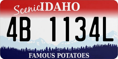 ID license plate 4B1134L