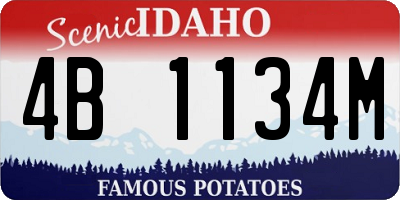 ID license plate 4B1134M