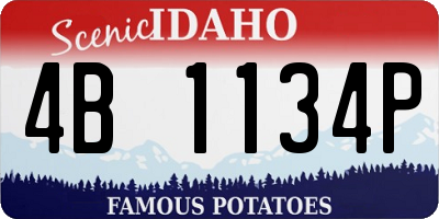 ID license plate 4B1134P