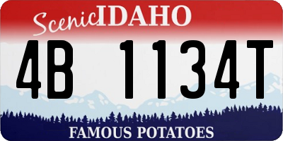 ID license plate 4B1134T