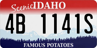 ID license plate 4B1141S