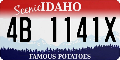 ID license plate 4B1141X