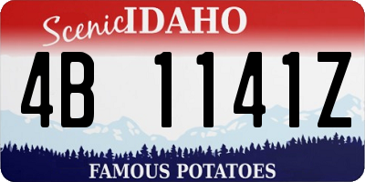 ID license plate 4B1141Z