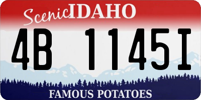 ID license plate 4B1145I