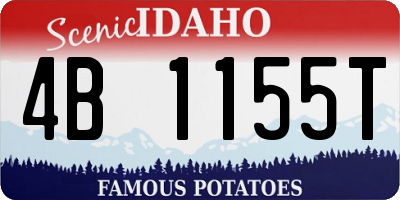 ID license plate 4B1155T